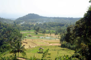 Lombok-Gangga-Waterfalls-9