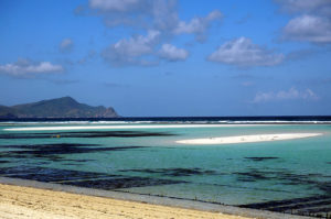 Lombok-Sueden-Seetangfelder