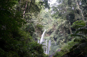 Lombok-Wasserfall-1-6-jpg