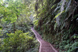 Lombok-Wasserfall-1-8