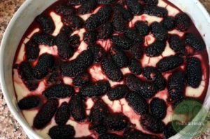 Pudding-Schmand-Streuselkuchen mit Beeren, vegan 