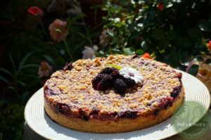 Pudding-Schmand-Streuselkuchen mit Beeren, vegan 