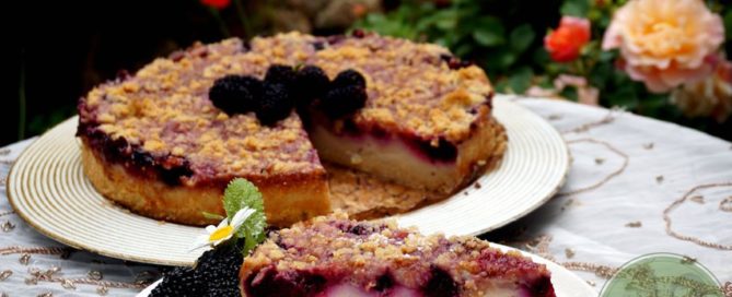 Pudding-Schmand-Streuselkuchen mit Beeren, vegan