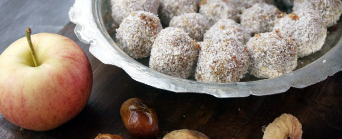 Apfel-Kokos-Bällchen - basisch - Rohkost - ruckzuck