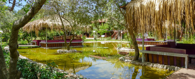 Vegan unterwegs in Olympos/Antalya/Türkei - The Vegan Lodge - Fotoreisebericht